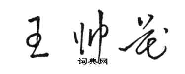 骆恒光王帅花草书个性签名怎么写