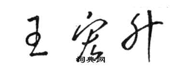 骆恒光王宏升草书个性签名怎么写