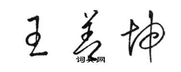 骆恒光王善坤草书个性签名怎么写