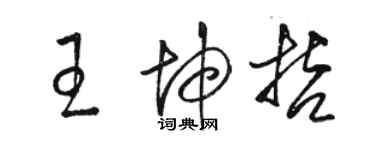 骆恒光王坤哲草书个性签名怎么写