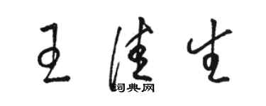 骆恒光王佳生草书个性签名怎么写