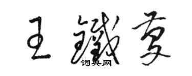 骆恒光王铁庆草书个性签名怎么写