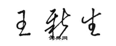 骆恒光王新生草书个性签名怎么写