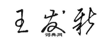 骆恒光王发新草书个性签名怎么写