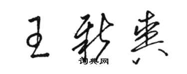 骆恒光王新爽草书个性签名怎么写