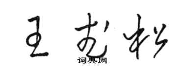 骆恒光王武松草书个性签名怎么写