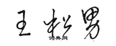 骆恒光王松男草书个性签名怎么写