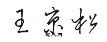 骆恒光王京松草书个性签名怎么写