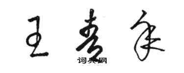 骆恒光王青年草书个性签名怎么写