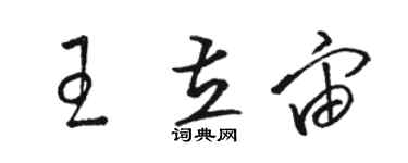骆恒光王立宙草书个性签名怎么写