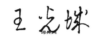 骆恒光王光城草书个性签名怎么写