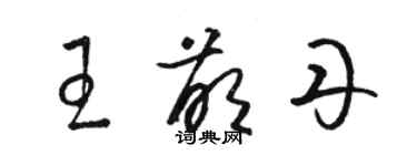 骆恒光王萌丹草书个性签名怎么写