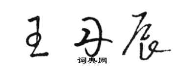 骆恒光王丹辰草书个性签名怎么写