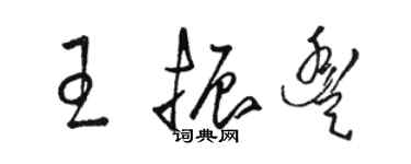 骆恒光王振丰草书个性签名怎么写