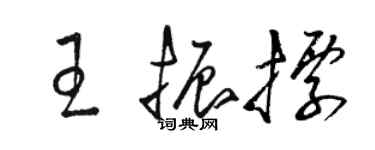 骆恒光王振标草书个性签名怎么写