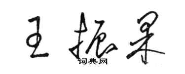 骆恒光王振果草书个性签名怎么写