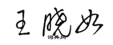 骆恒光王晓如草书个性签名怎么写