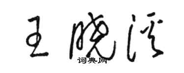 骆恒光王晓溪草书个性签名怎么写