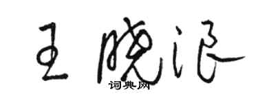 骆恒光王晓浪草书个性签名怎么写