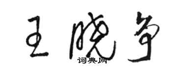 骆恒光王晓争草书个性签名怎么写