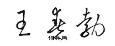 骆恒光王春勃草书个性签名怎么写