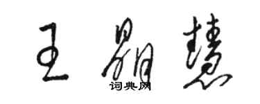 骆恒光王晶慧草书个性签名怎么写