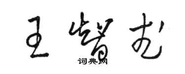 骆恒光王智武草书个性签名怎么写