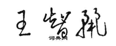 骆恒光王智丽草书个性签名怎么写