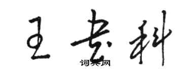 骆恒光王书科草书个性签名怎么写