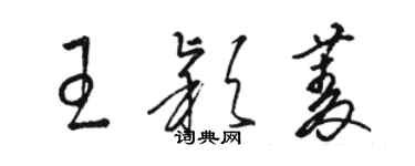 骆恒光王颖菱草书个性签名怎么写