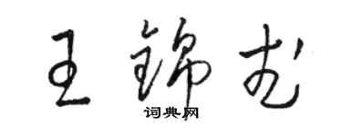 骆恒光王锦武草书个性签名怎么写