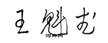 骆恒光王魁武草书个性签名怎么写