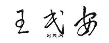 骆恒光王民安草书个性签名怎么写