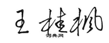 骆恒光王桂枫草书个性签名怎么写
