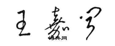 骆恒光王嘉闻草书个性签名怎么写