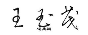 骆恒光王玉茂草书个性签名怎么写