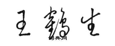 骆恒光王鹤生草书个性签名怎么写