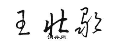 骆恒光王壮歌草书个性签名怎么写