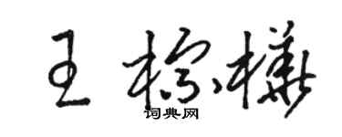 骆恒光王棕桦草书个性签名怎么写