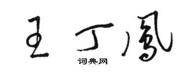 骆恒光王丁凤草书个性签名怎么写