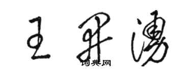 骆恒光王开涌草书个性签名怎么写