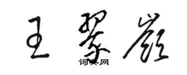 骆恒光王翠岭草书个性签名怎么写