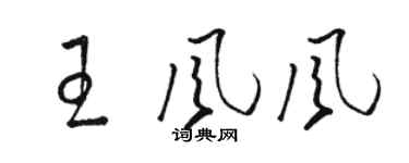 骆恒光王风风草书个性签名怎么写