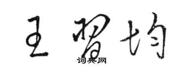 骆恒光王习均草书个性签名怎么写