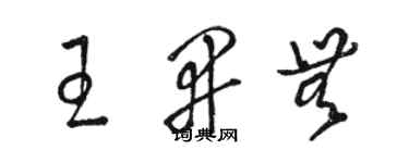 骆恒光王开无草书个性签名怎么写