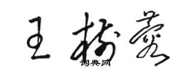 骆恒光王树蓉草书个性签名怎么写