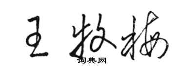 骆恒光王牧梅草书个性签名怎么写