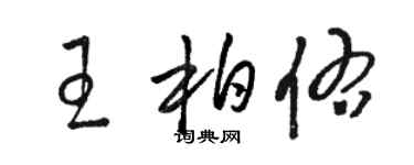 骆恒光王柏佑草书个性签名怎么写