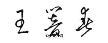 骆恒光王响春草书个性签名怎么写