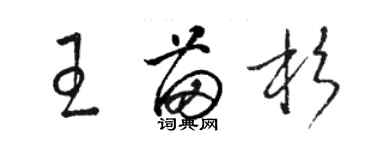 骆恒光王苗杉草书个性签名怎么写